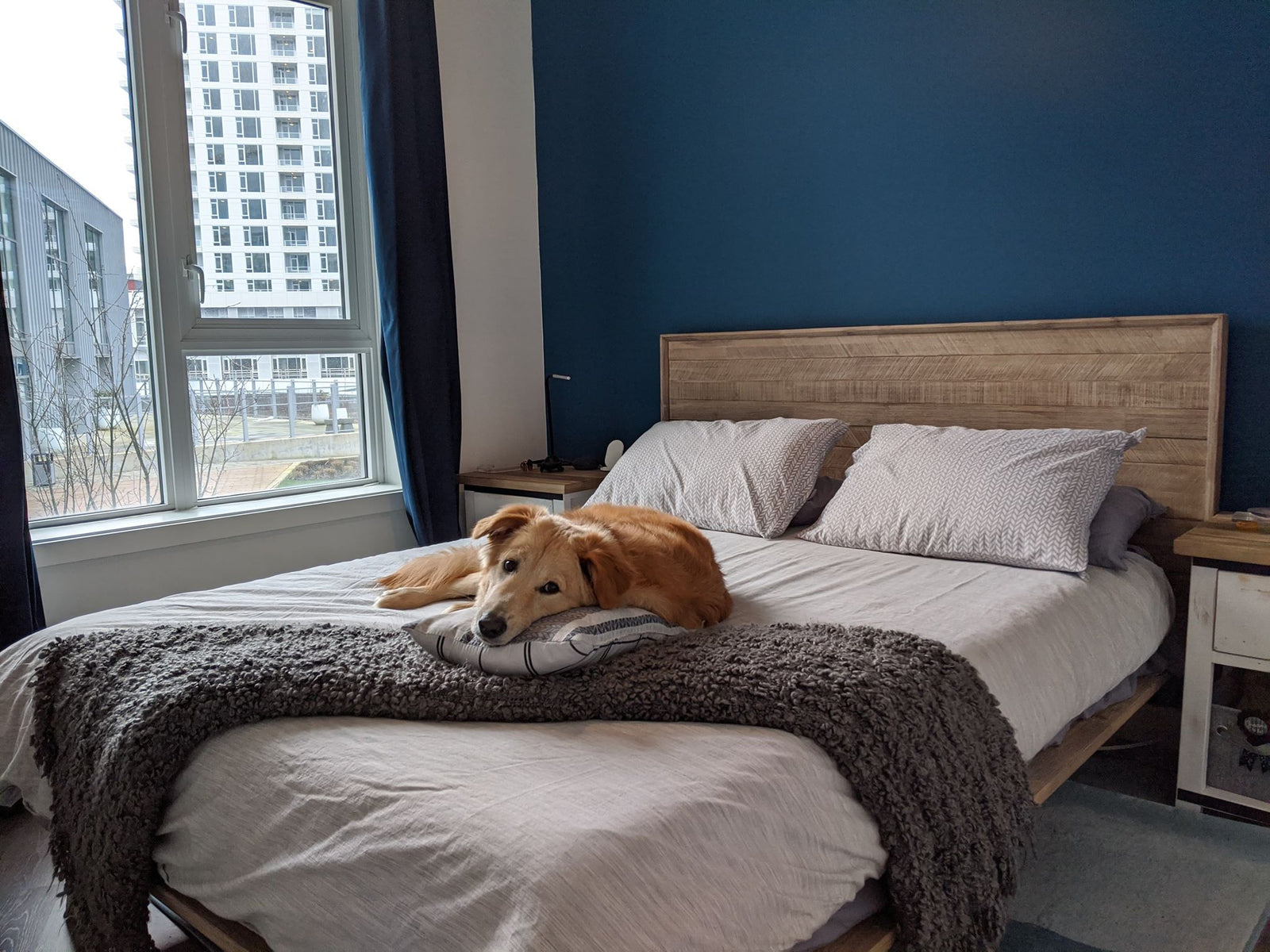 Gia Queen Bed - Light Driftwood