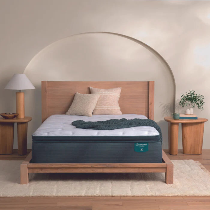 Queen size plush pillow top mattress online