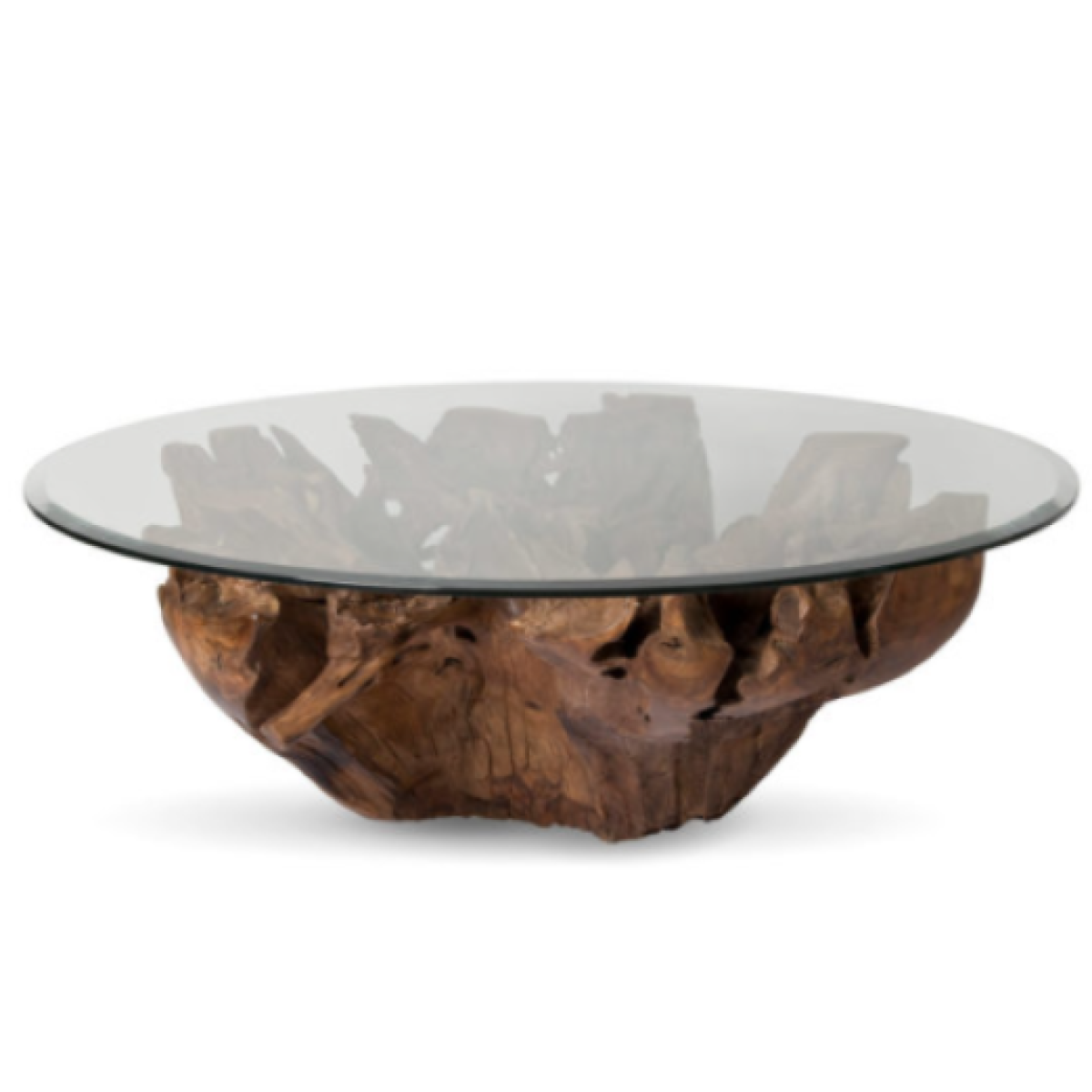 Natura Round Teak Root Coffee Table Large
