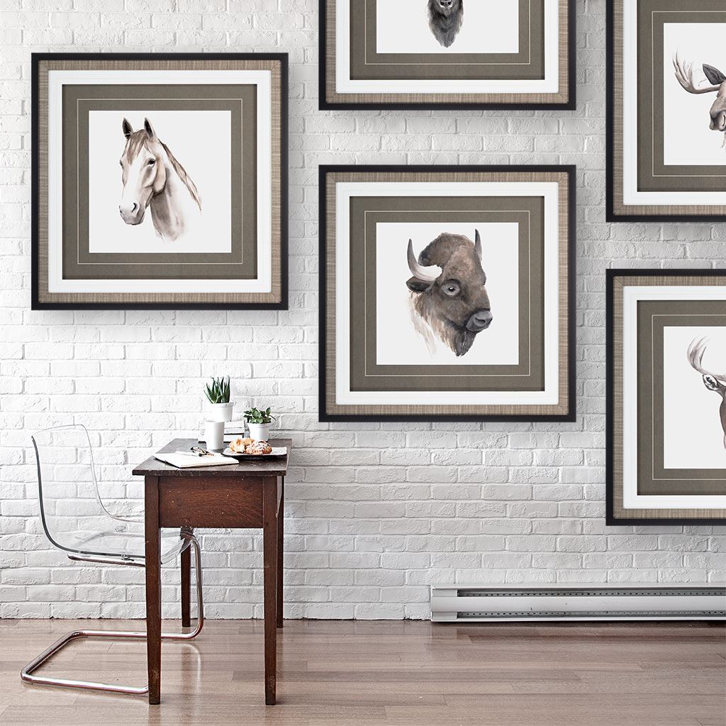 Western Animal Study III | Framed Moose Print